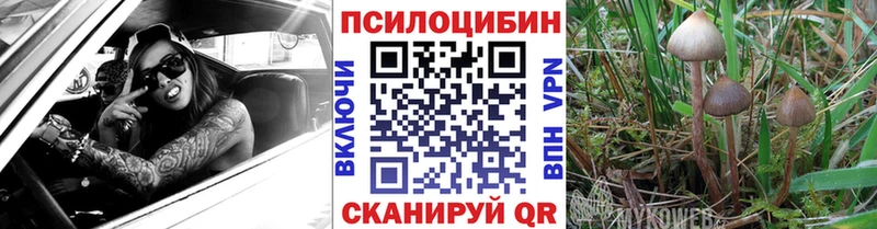 где купить наркотик  гидра ТОР  Псилоцибиновые грибы мухоморы  Кореновск 